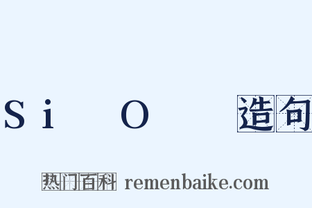 Si₄O₁₀造句是什么意思的图片